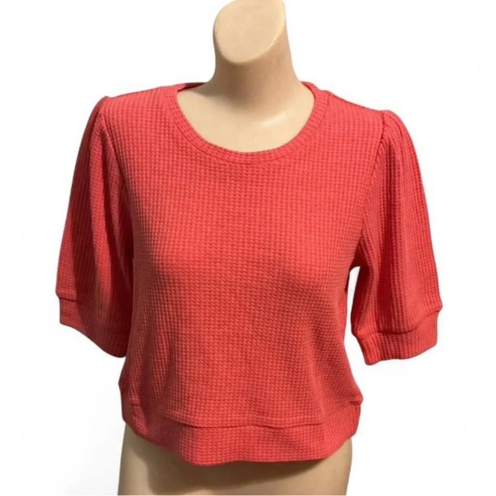 Chaser Coral Knit Crop Top - Picture 1 of 3